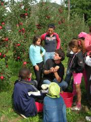 Agricoltura Biologica L'Ostal 